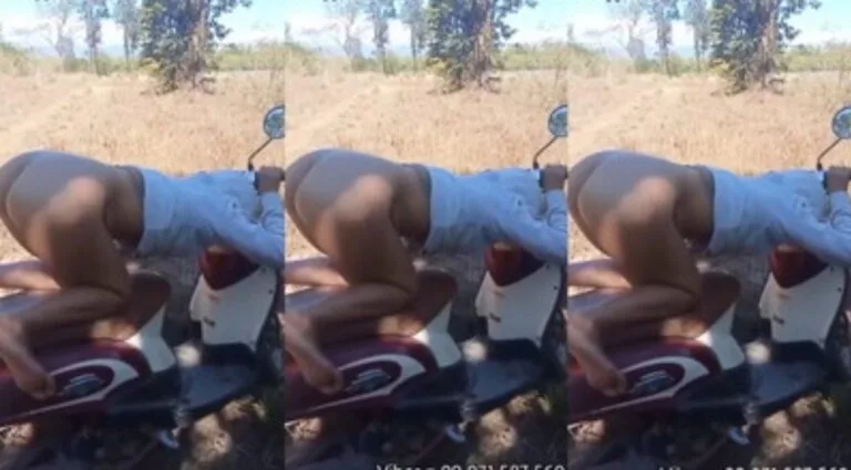 ဆိုင်ကယ်ပေါ ကုန်းခိုင်းပီး တွယ်တဲ့ ဘဲကြီး