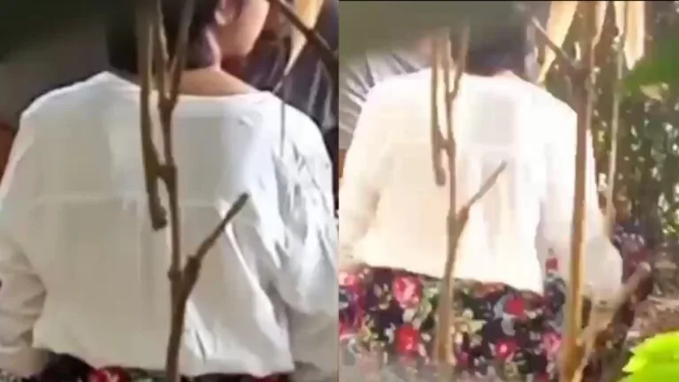 သွားမယ်ပြောတော့် တည်းခိုခန်း ဘုတော့် ဝါးရုံတော