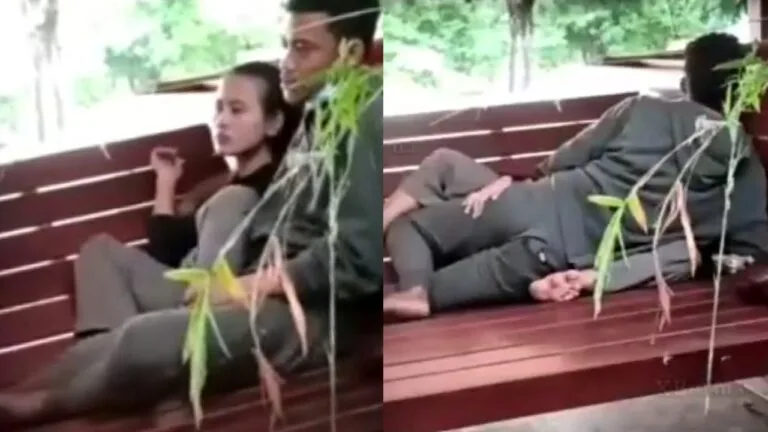 ခုံပေါ်တွယ် ဘေးနောက်ကြည့် ရှယ်တွယ်တဲ့ ဘဲကြီး