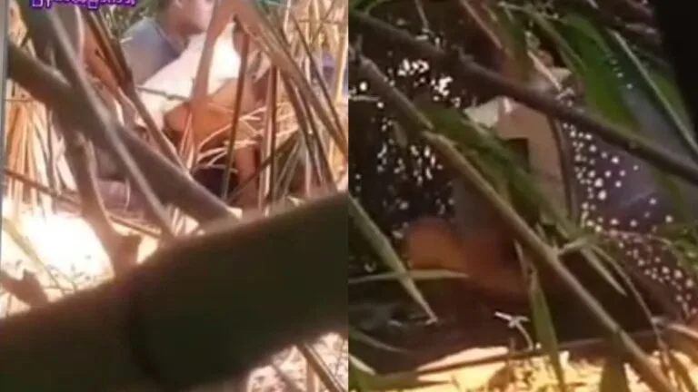 ချောင်းရိုက် ထားတာ ဘဲကြီးက ကြမ်းတယ်