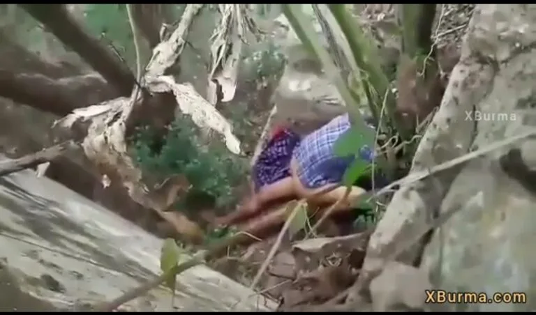 တောတောင်ထဲ ဆေးပင်ရှာရင်း ဘုတဲ့ စုံတွဲ