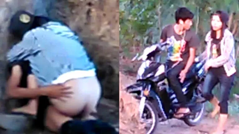 ပဲခူးသူအတွဲ ကျွန်းသစ်တောထဲ ခိုးစား