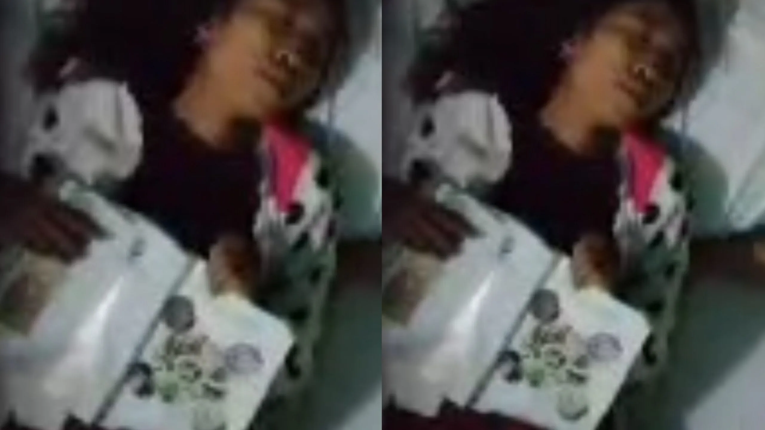 ဖူးစာအုပ်ဖတ်နေတုန်း မုဒိန်းကျင့်ခံရသော အကိတ်ကြီး အပိုင်း ( ၁)