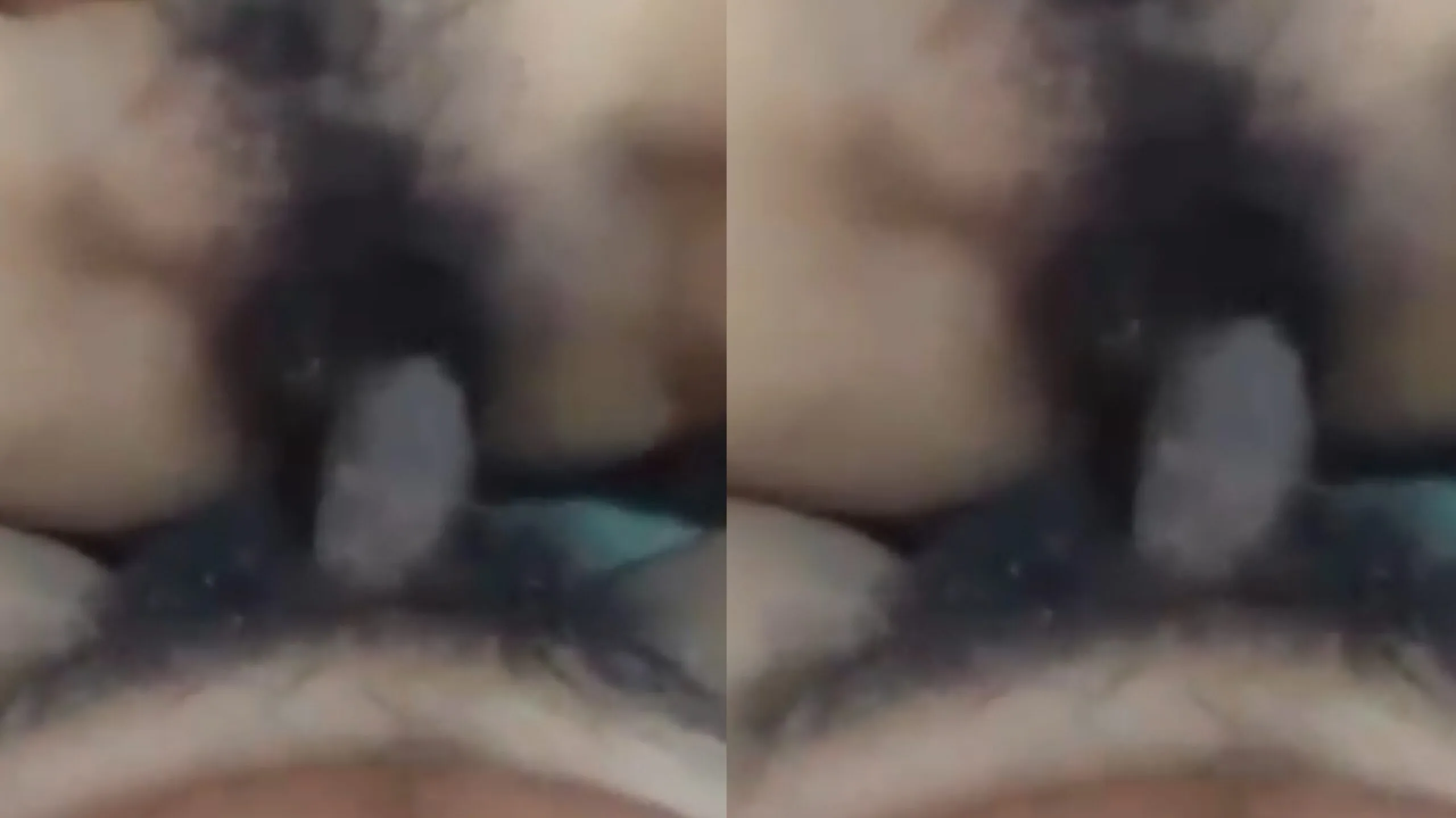 လိုးရတာ ဒီလို လိုးရတယ်လို့ ပြောတဲ့ ဘဲကြီး