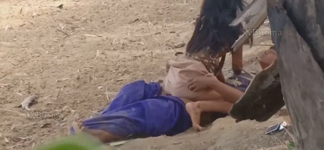 လယ်တော ထန်းပင်ရိပ်အောက် လိုးတဲ့ စုံတွဲ