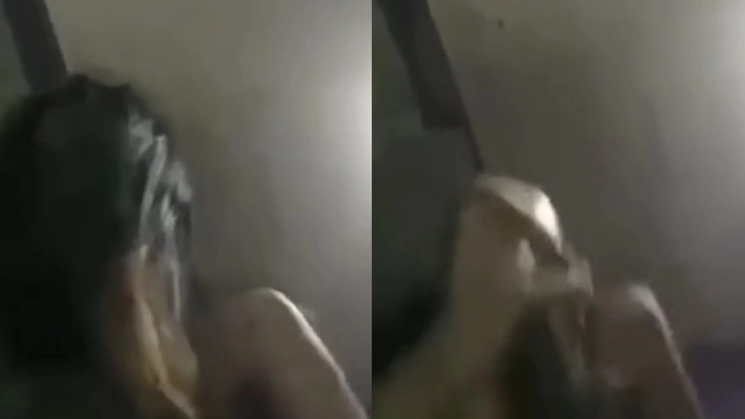 ရှယ်လိုးခံရသော ငပိန်မလေး