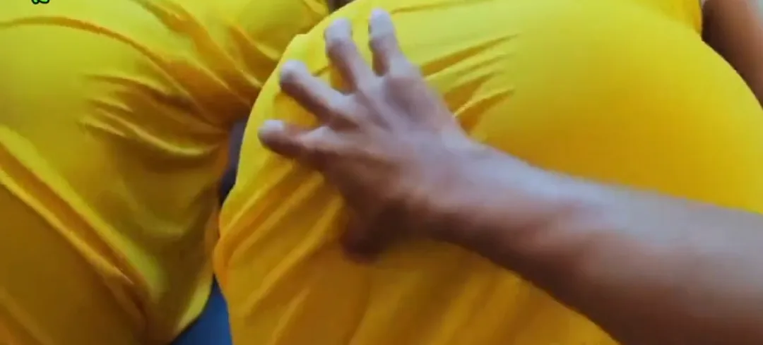 အလိုး ခုံပေါ် ရှယ်တွယ်သော စပွန်ဆာဘဲကြီး