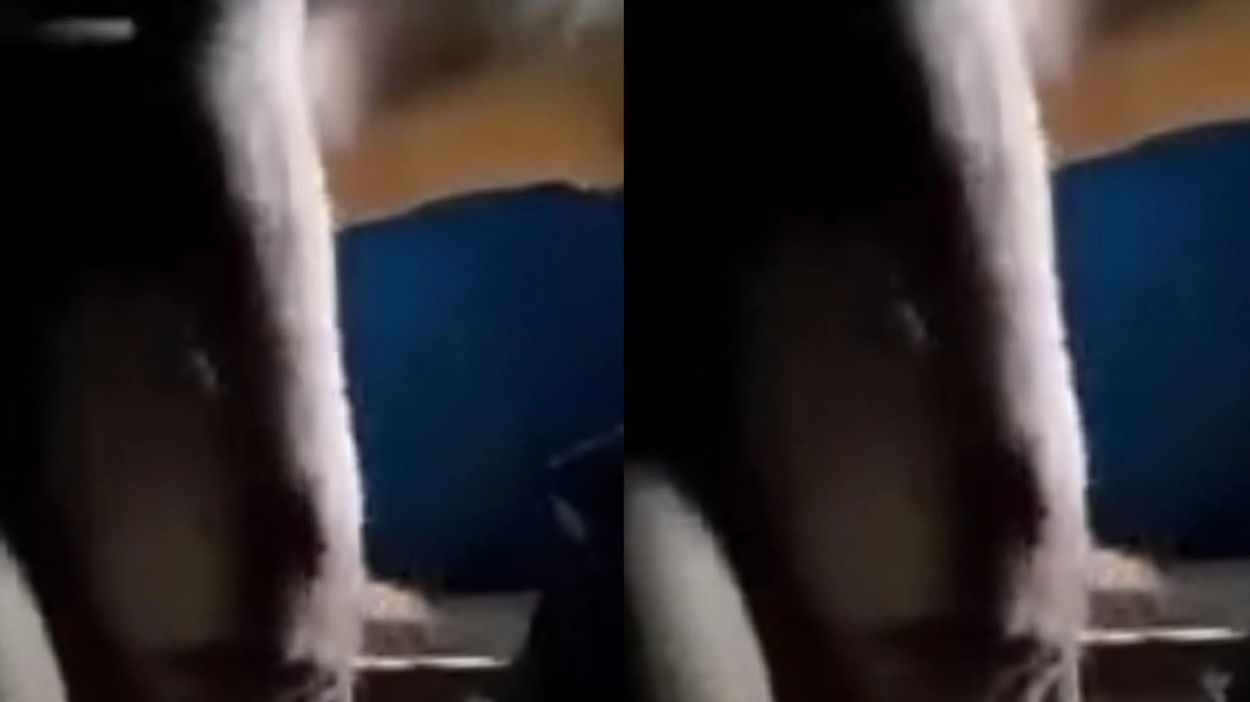 ပျဥ်းမနားက ဆင်းရဲသားစုံတွဲ