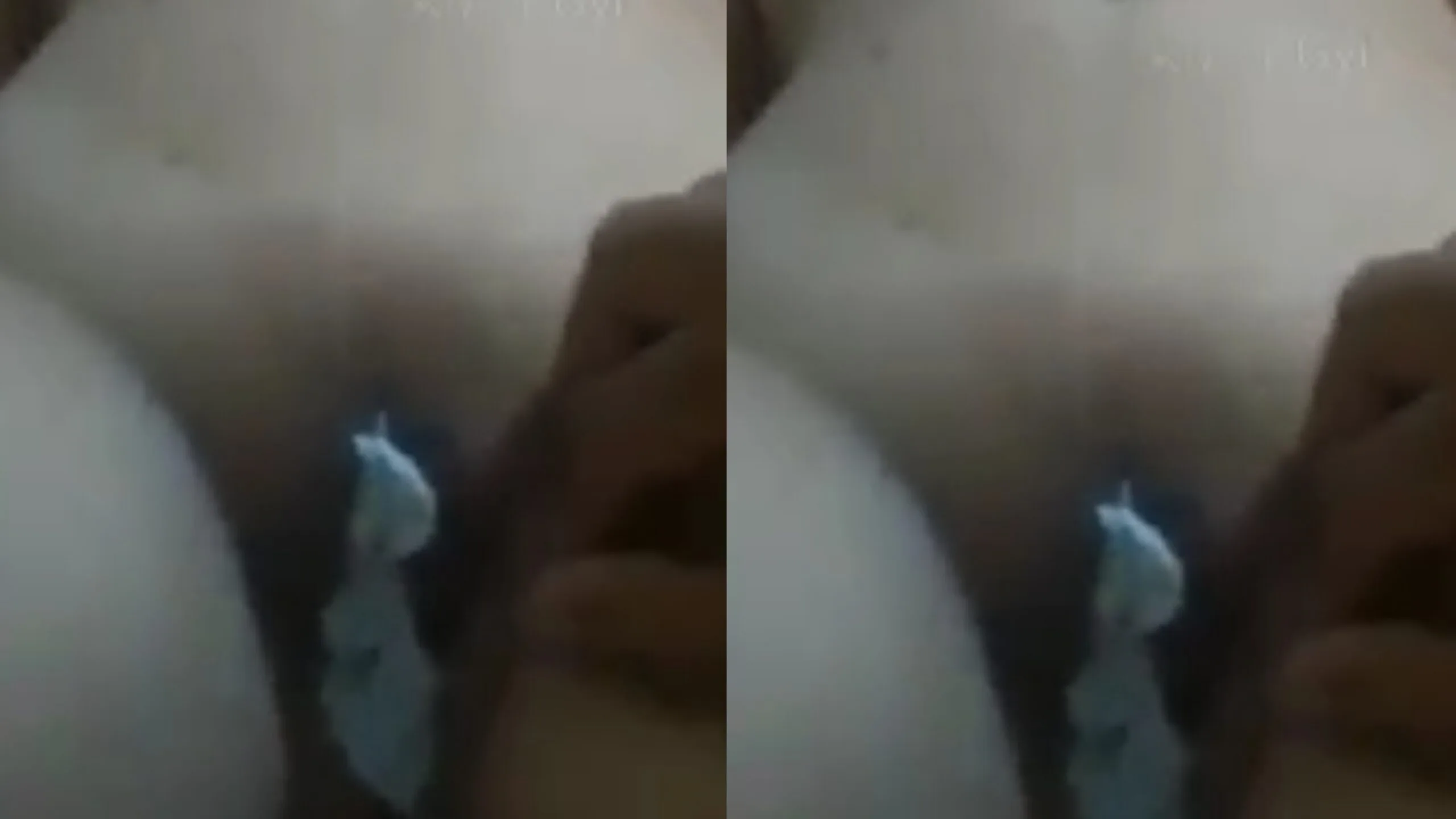 မြန်မာမလေးမှာ ချစ်တယ်ဆို စက္ကူလိပ်တွေထည့်ပြမယ်