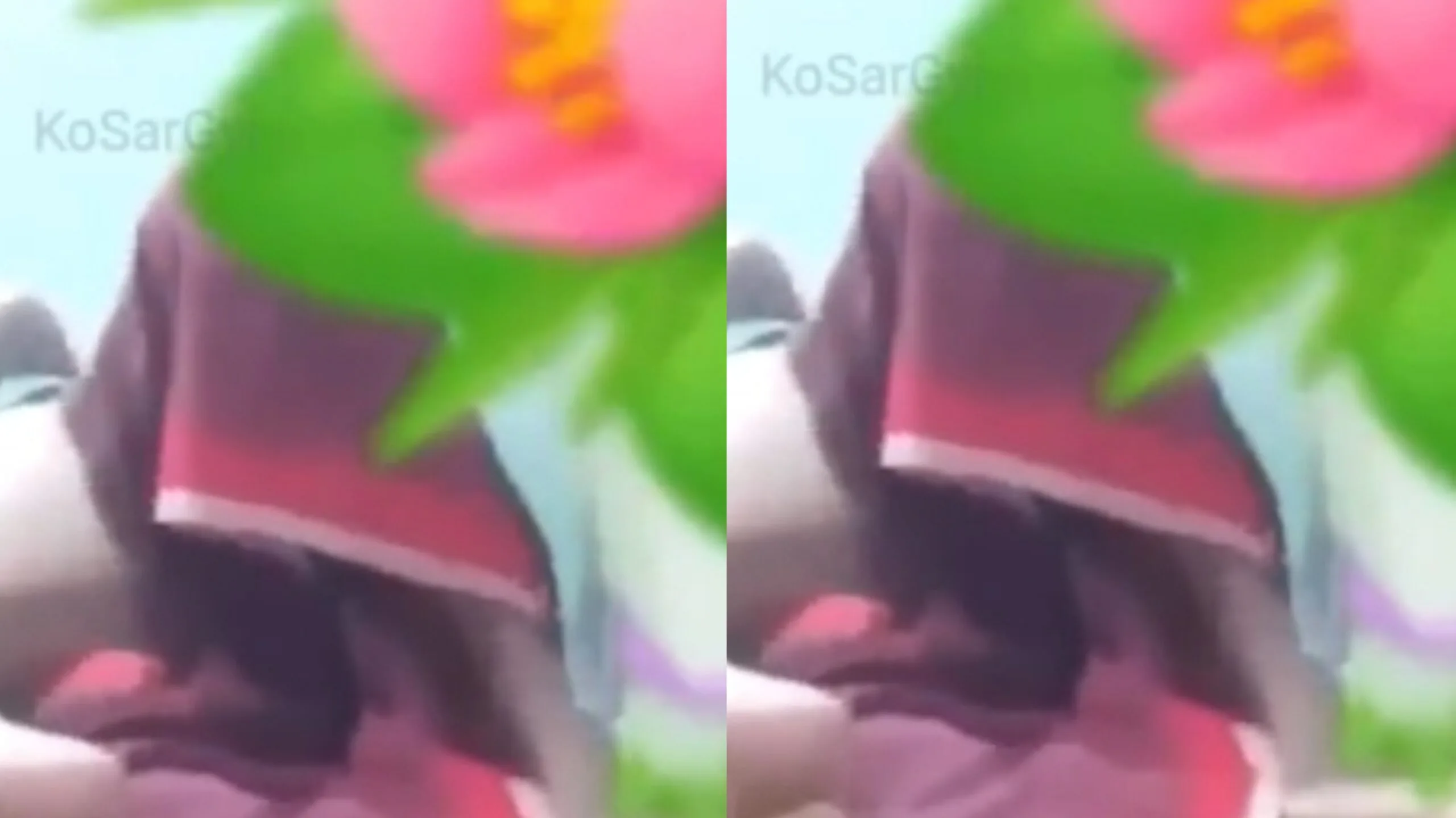 ဘေးတစောင်းလေးပဲ လိုးချင်တယ်ဆိုတဲ့ ဘဲကြီး