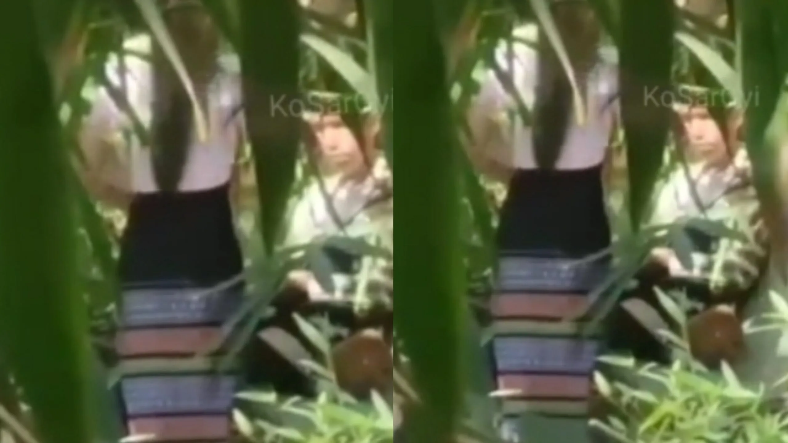 လူရှင်းတယ်ဆိုပြီး ဆော်လေးကို မြူဆွယ်တဲ့ ဘဲကြီး