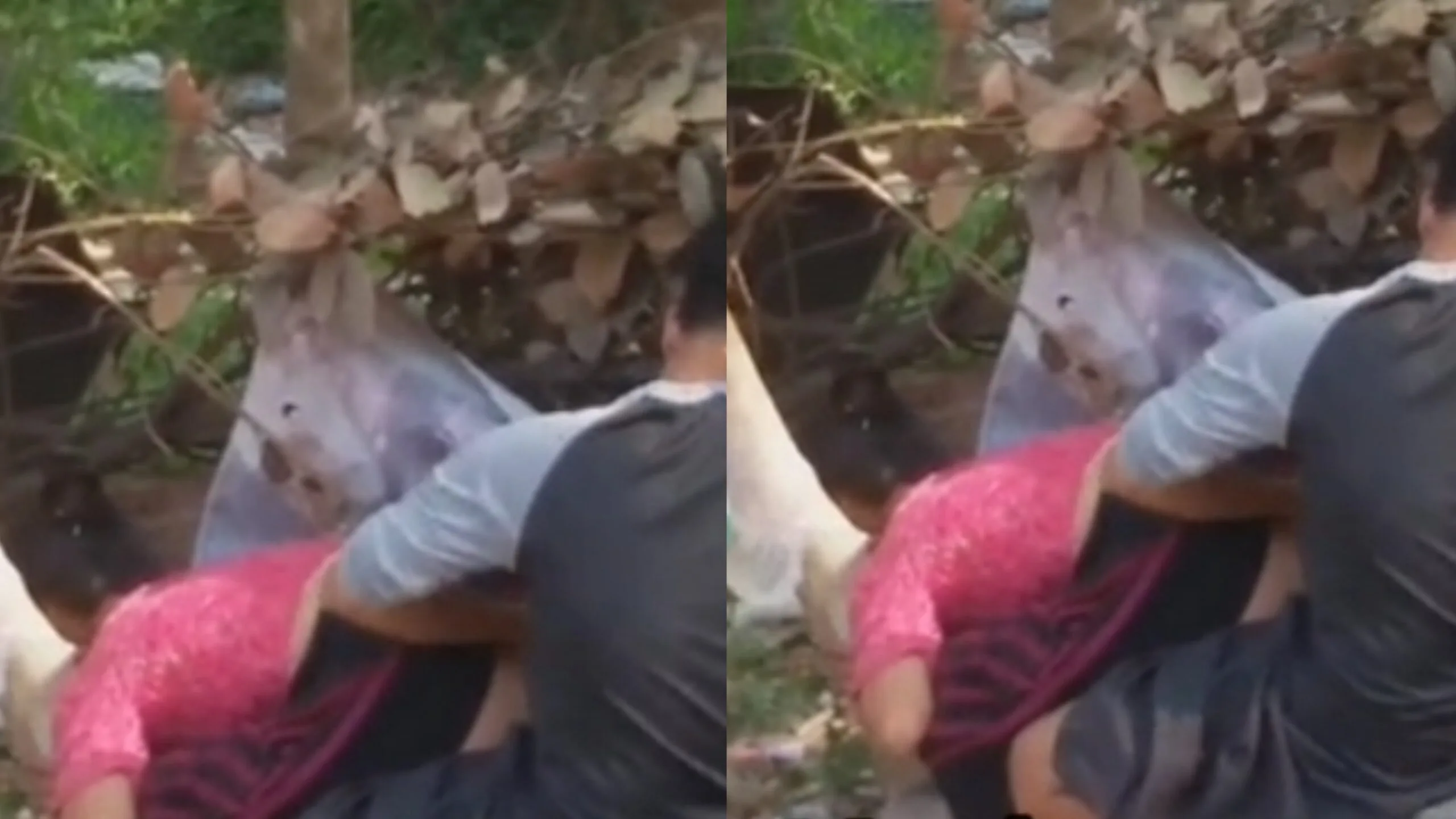 ဖင်ကုန်းပေးတဲ့ မိန်းမ အသာမချ