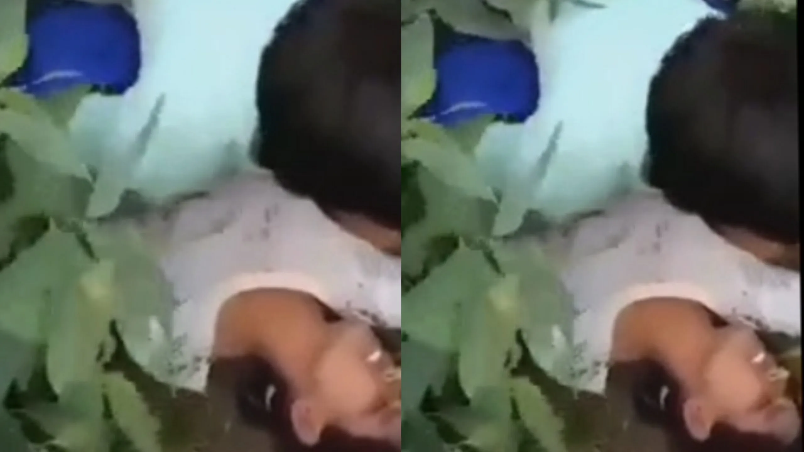 မြန်မာစုံတွဲ မြွေမကြောက်ဘူးတဲ့ အလိုးခံရမှာကြောက်လာပြီတဲ့