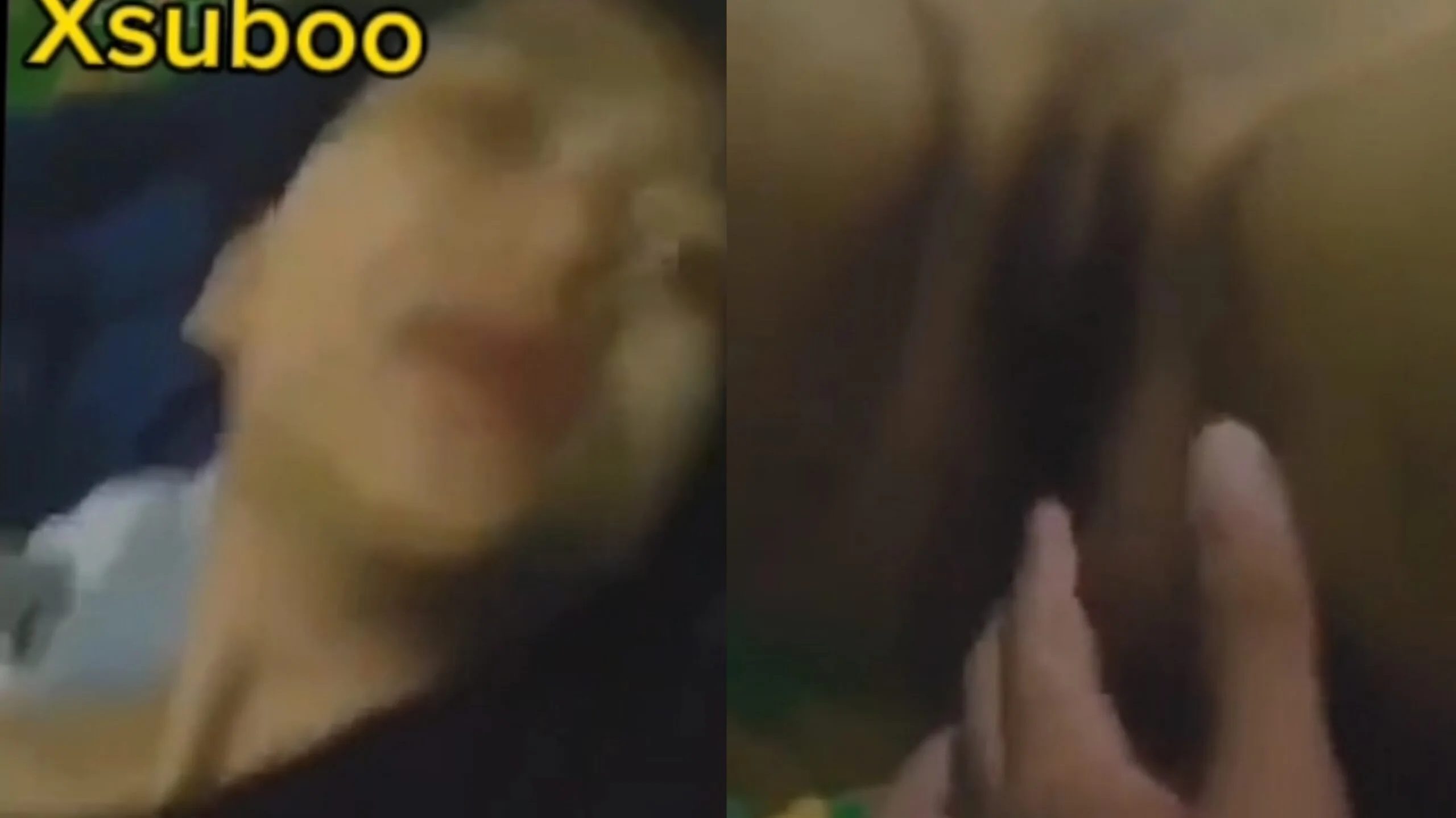 လျှာထွက်သွားတဲ့ ဆော်လေး ဘဲကြီးက ကြမ်းချက်က