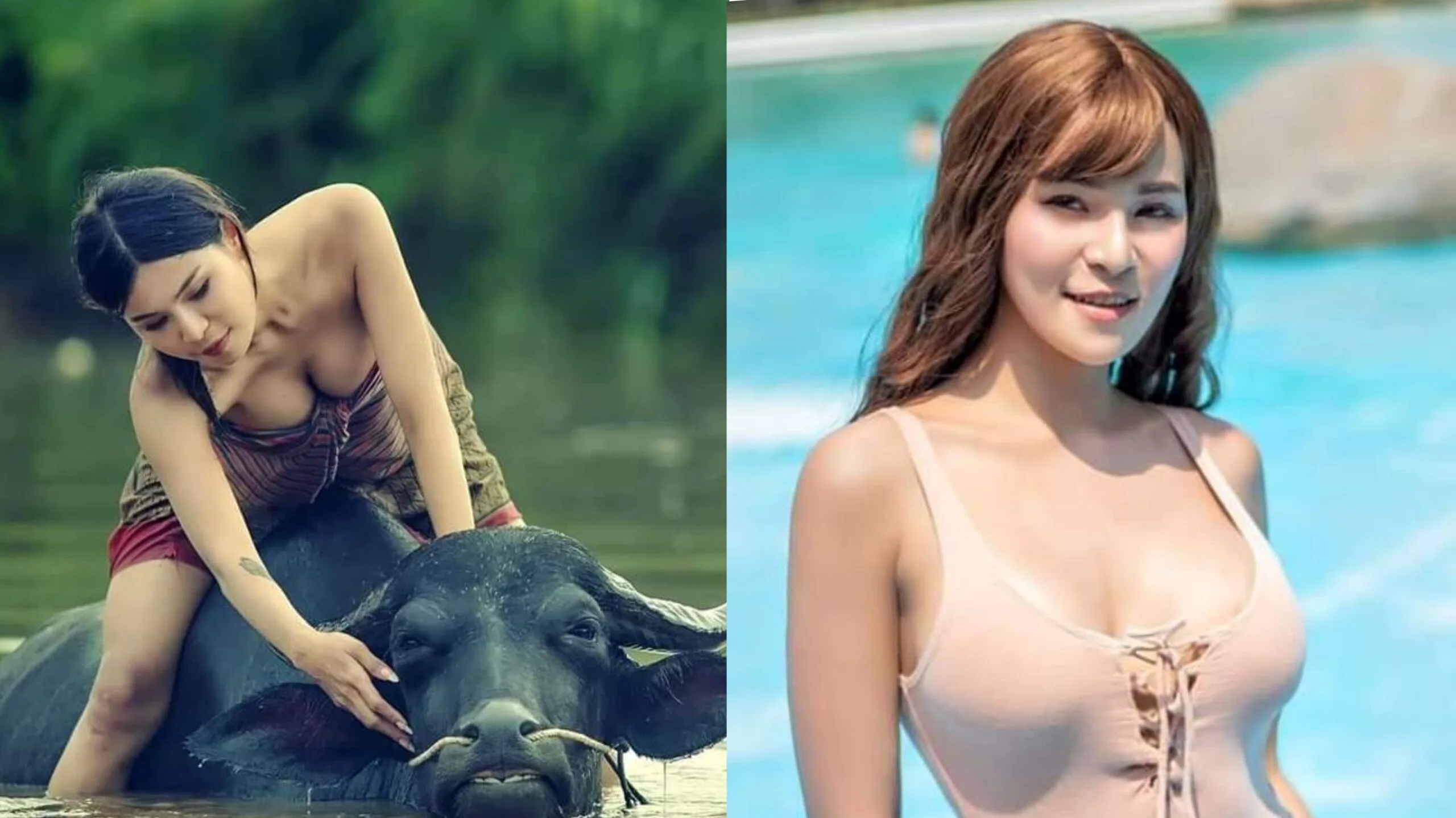 ဖူးပွင့်ခိုင် XD ပေါင်းချုပ်ထားတာလေး တင်ပေးလိုက်တယ်