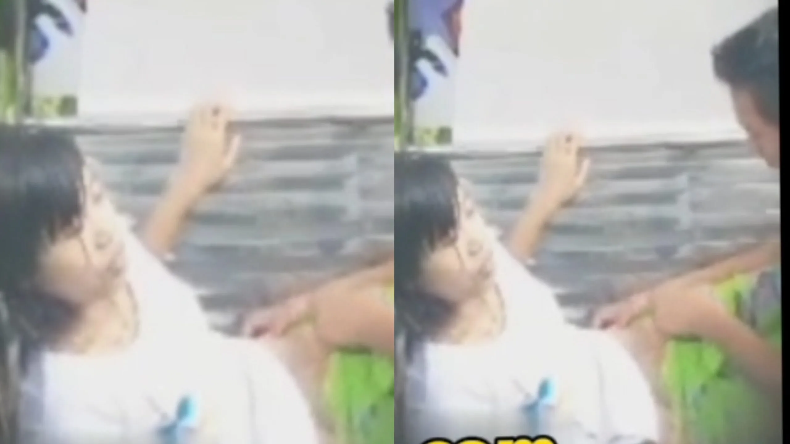 ဘာဂျာမှုတ်တဲ့ စားဘဲကြီး ချောင်းရိုက်