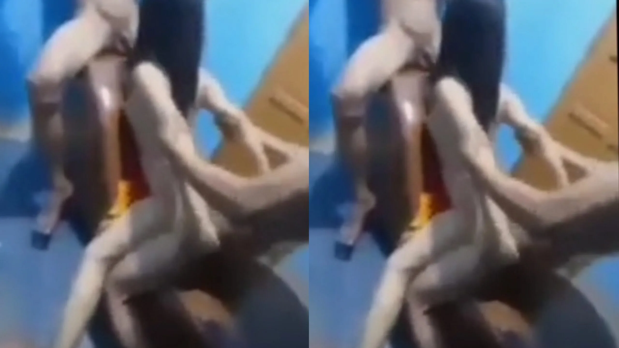 ဘဲလေးပွေနဲ့ မချောတစ်ယောက်