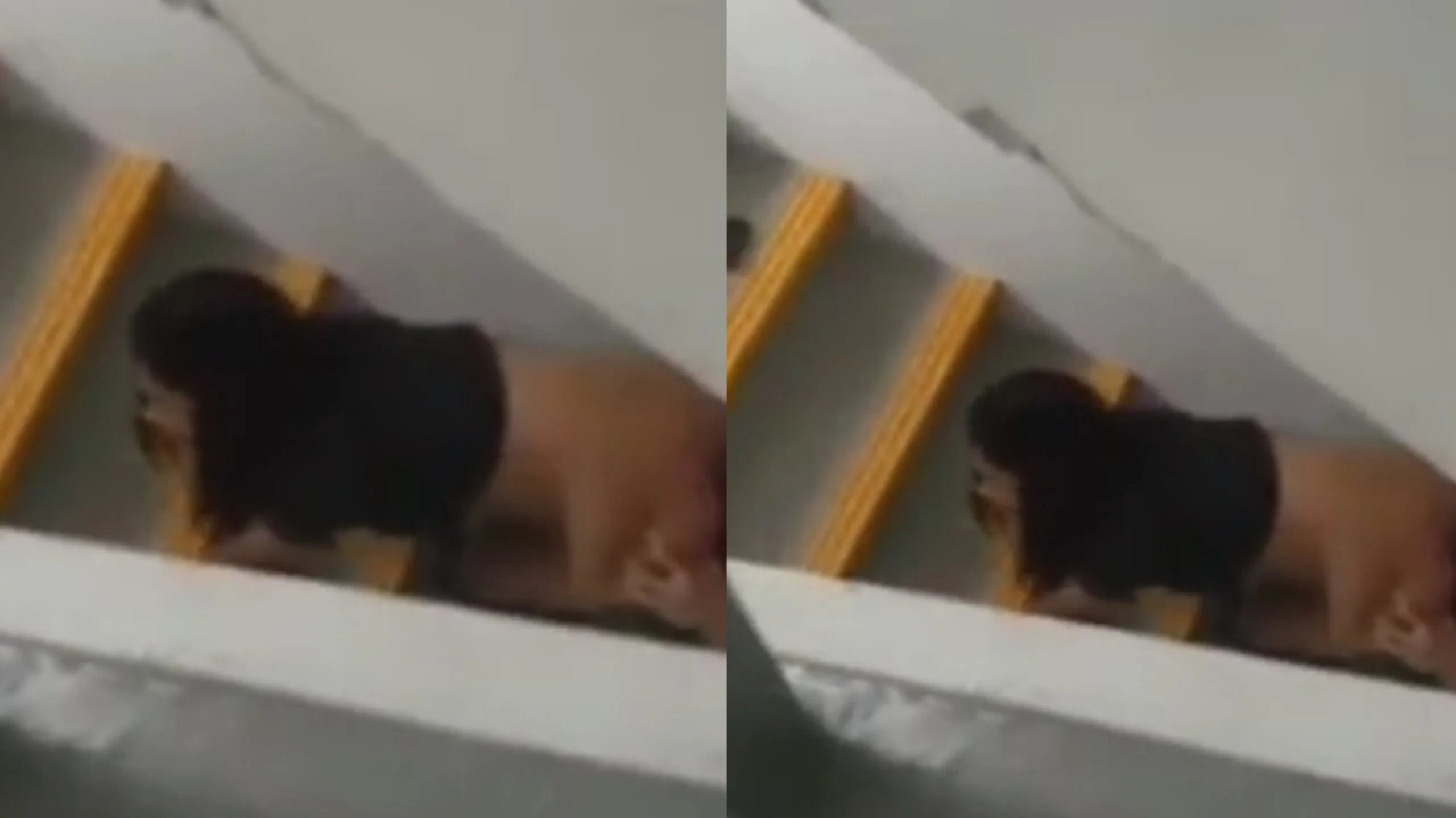 လှေကားထစ်ပေါ်က အတွဲ ချောင်းရိုက်