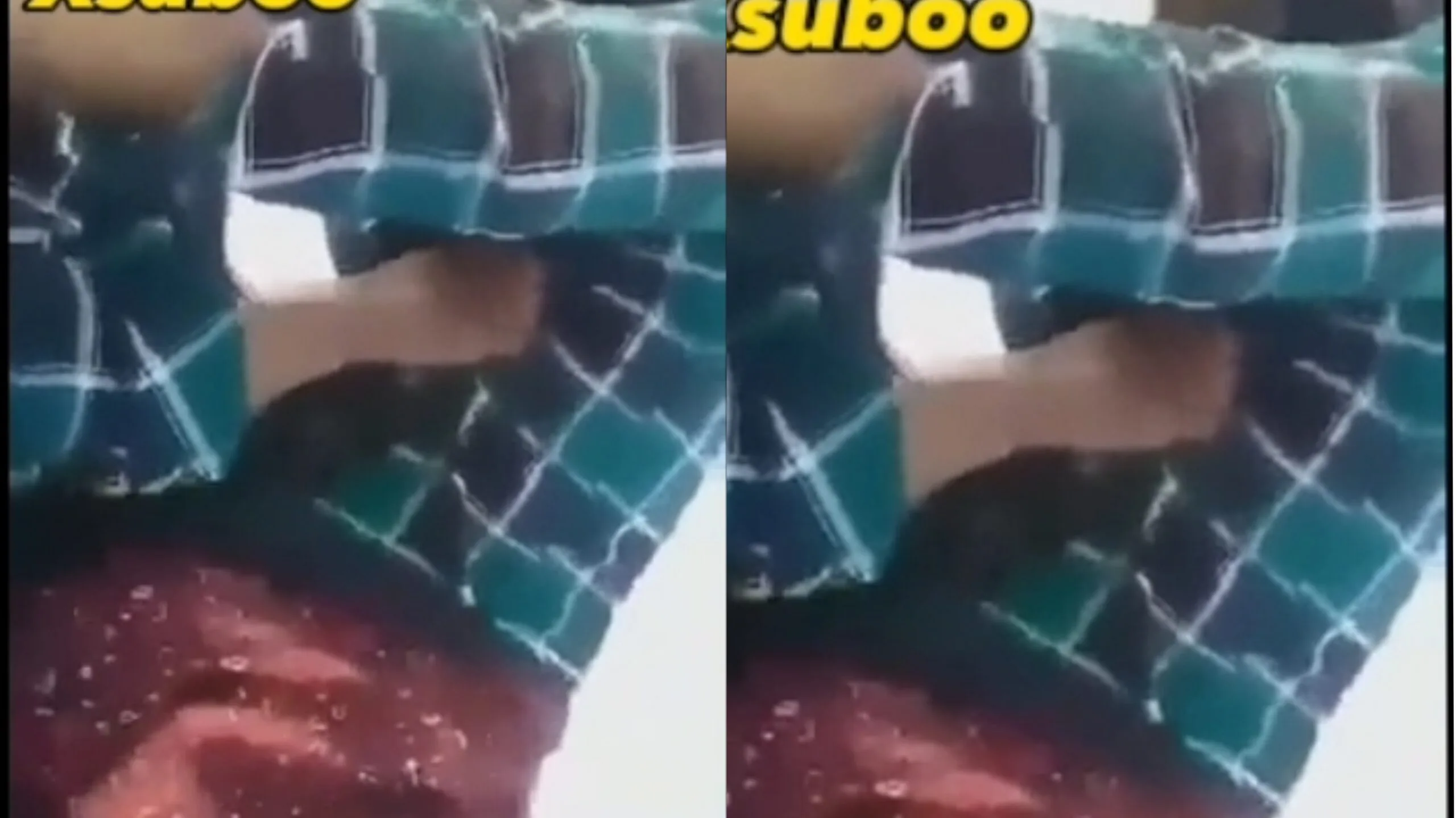 ရည်းစား ထမိန်ထဲကို ဝင်လိုးတဲ့ စားဘဲကြီး