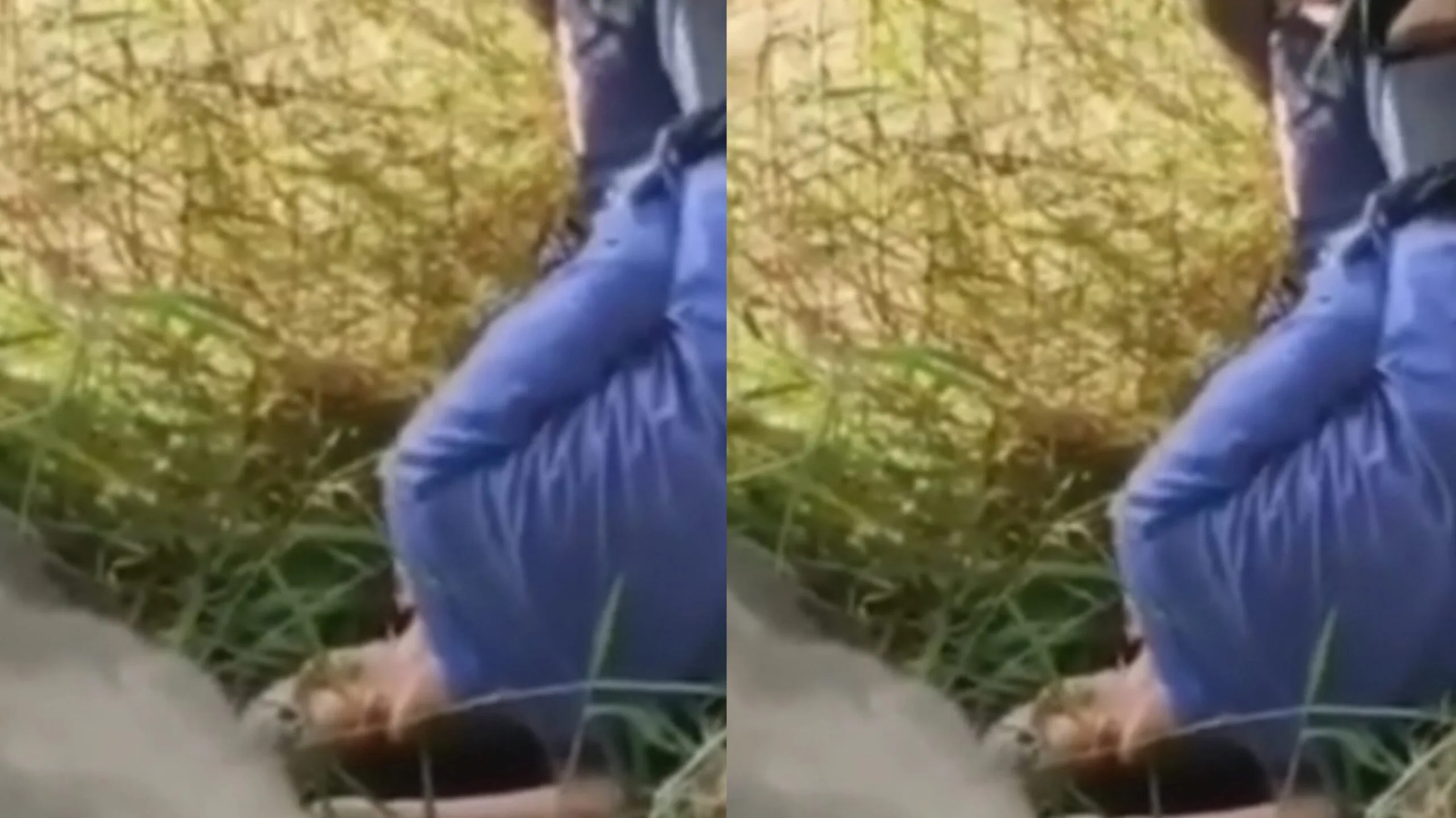 မြတ်ခင်းပေါ်က ချောင်းရိုက်