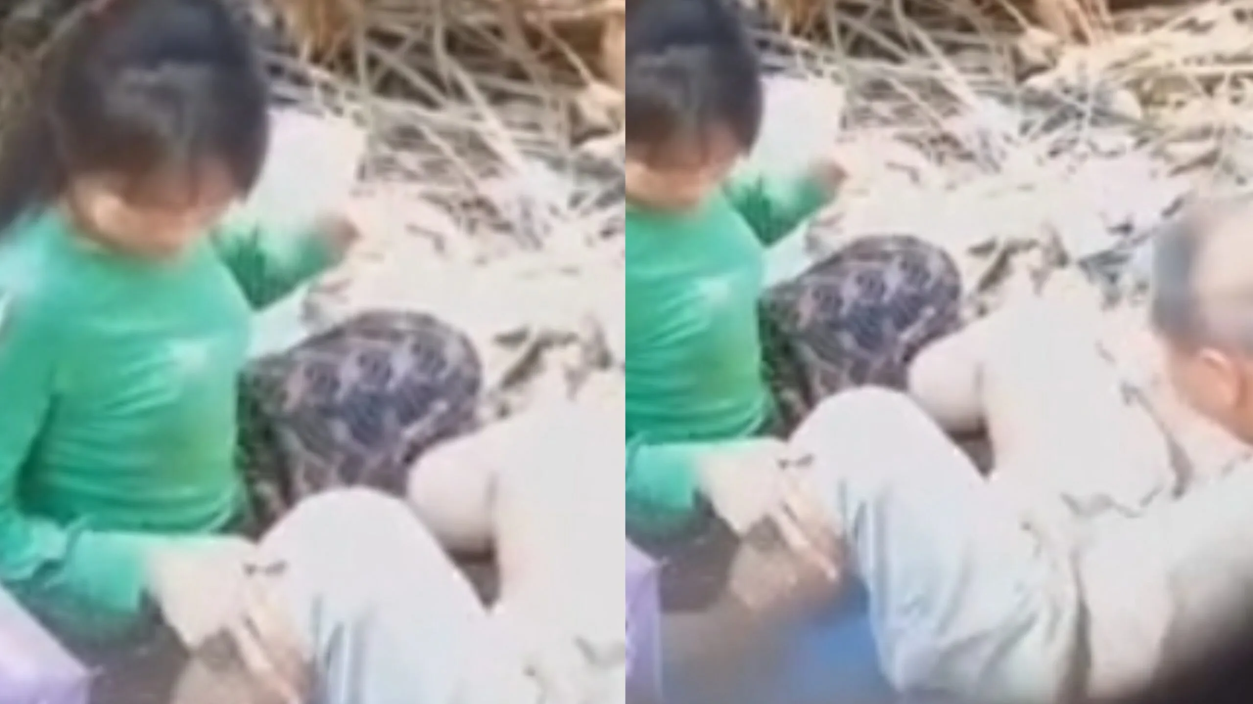 မြန်မာ ဂတုံး မင်းသား ခြုံတိုးသွား