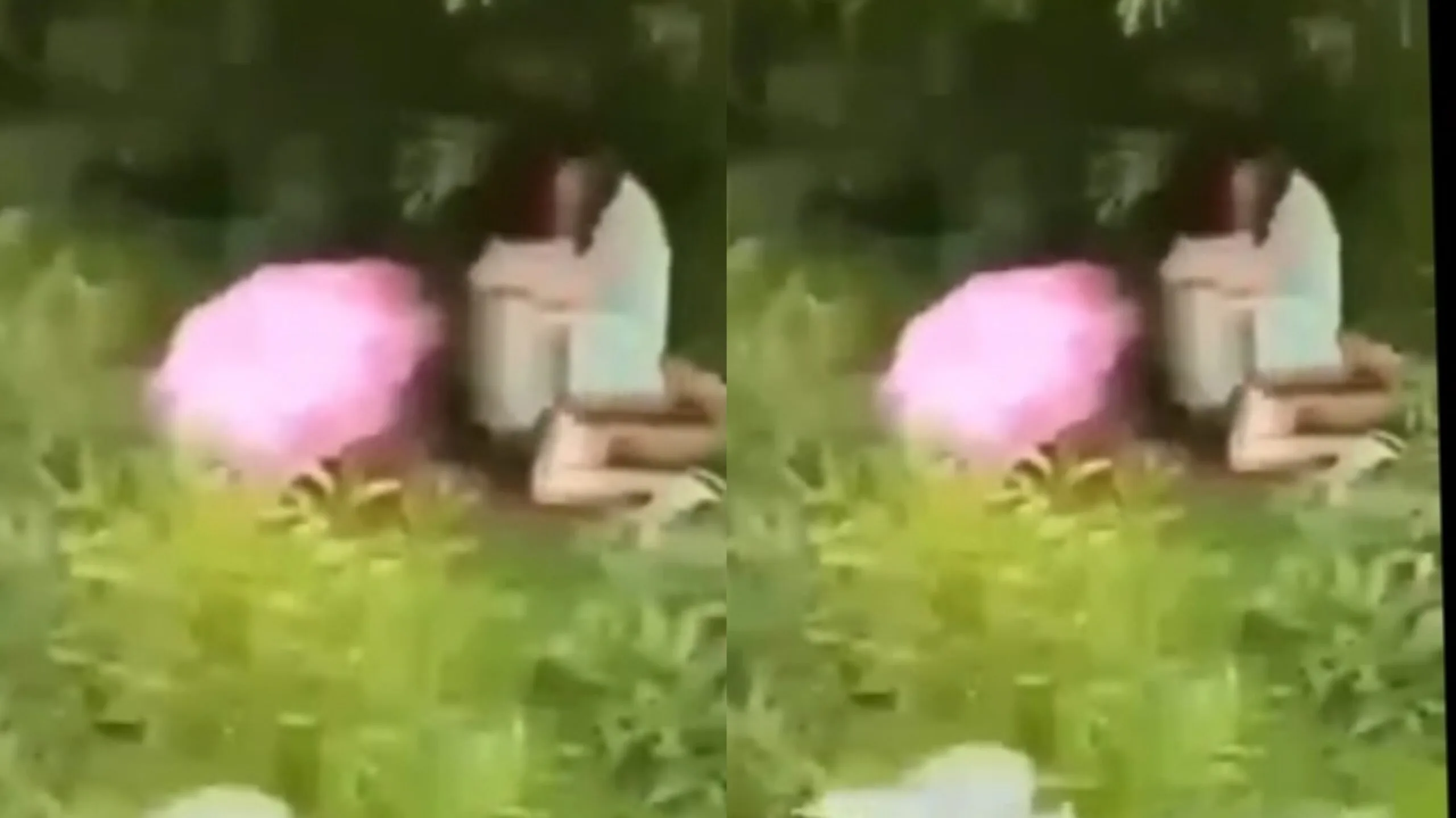 အပင်ခြုံတွေများရင် အတွဲများတယ်