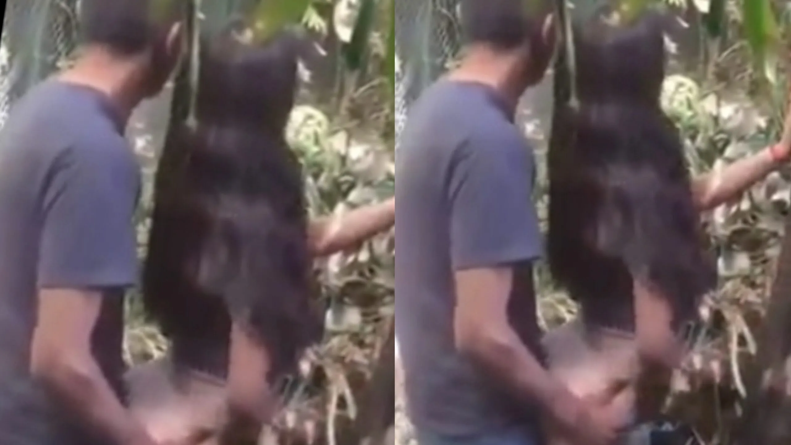 မာမူကုလား ချောင်းရိုက် ရှယ်တွယ်