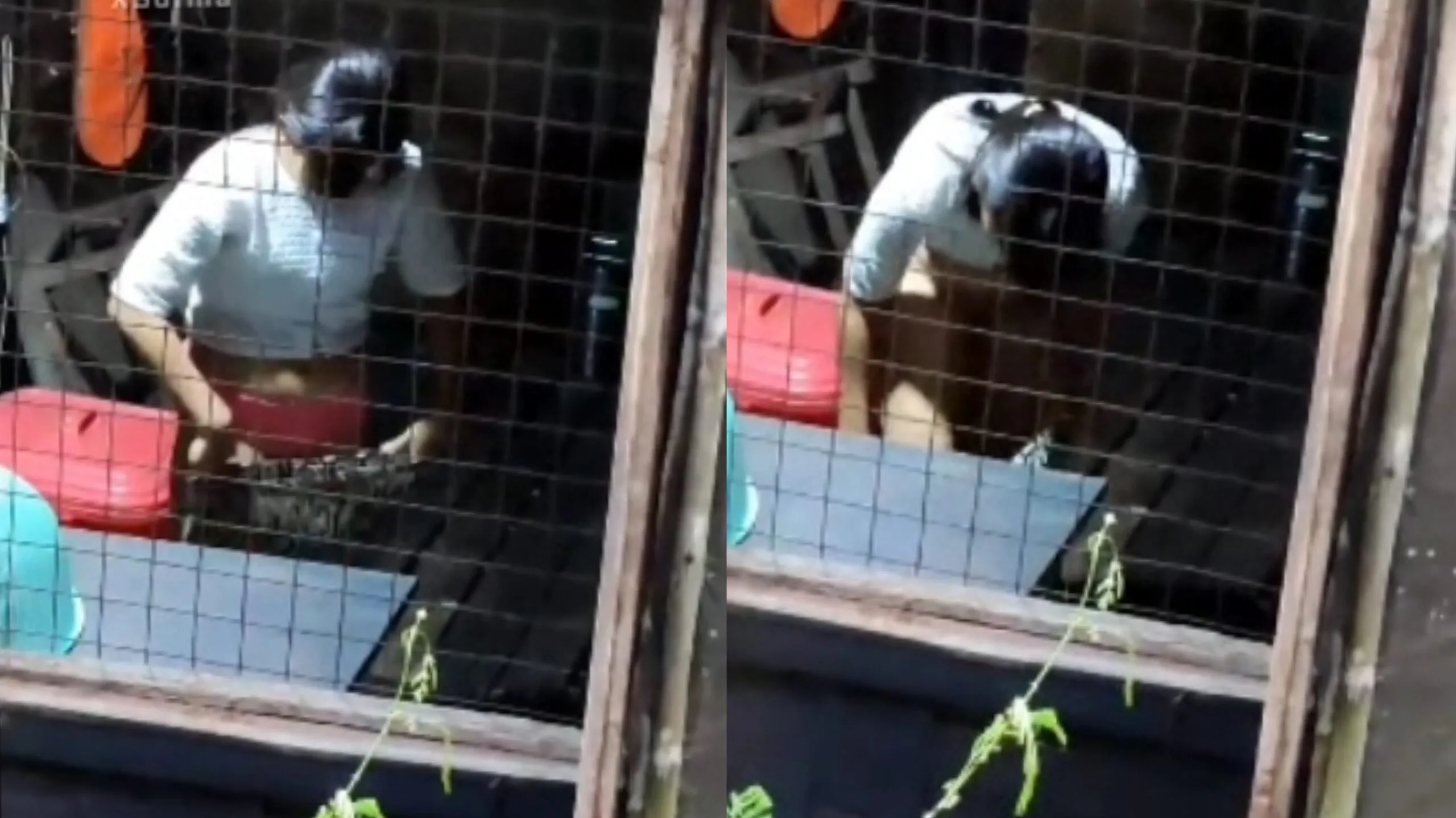 အဝတ်လဲတဲ့ ဆယ်တန်းကျောင်းသူ ချောင်းရိုက်