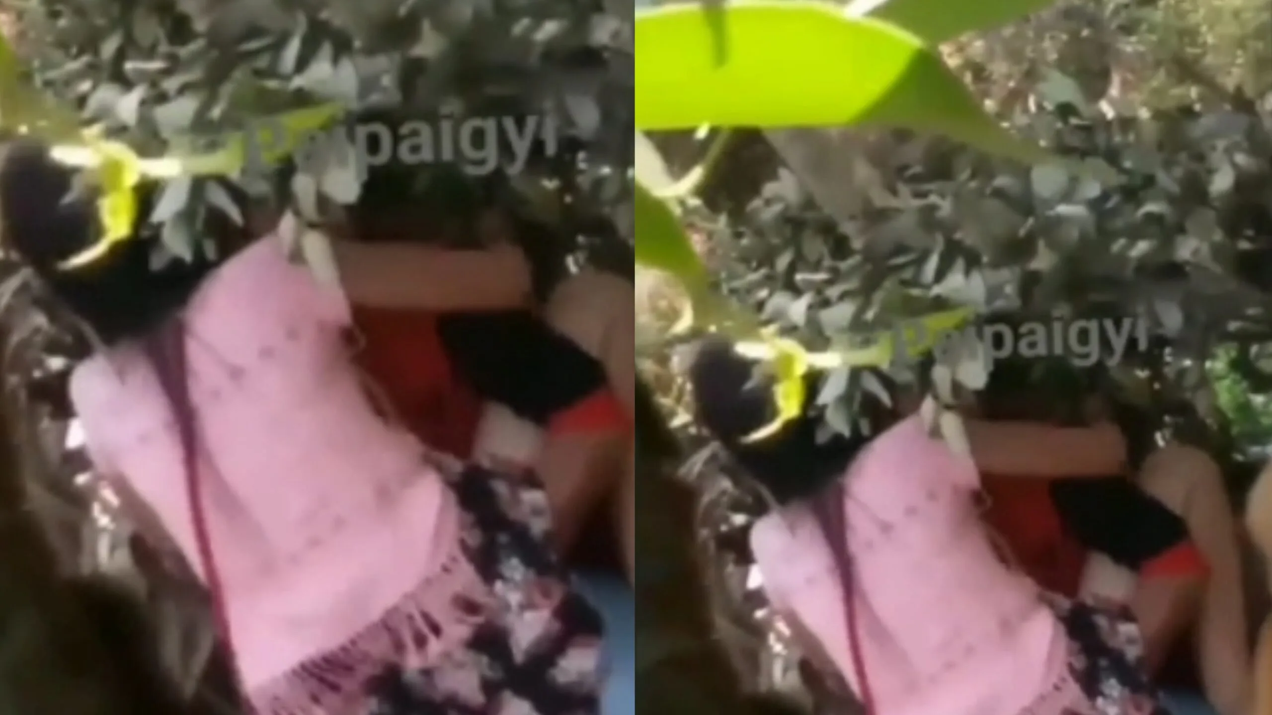 အပြင်းအထန်လိုးတဲ့ မြန်မာခြုံတိုး