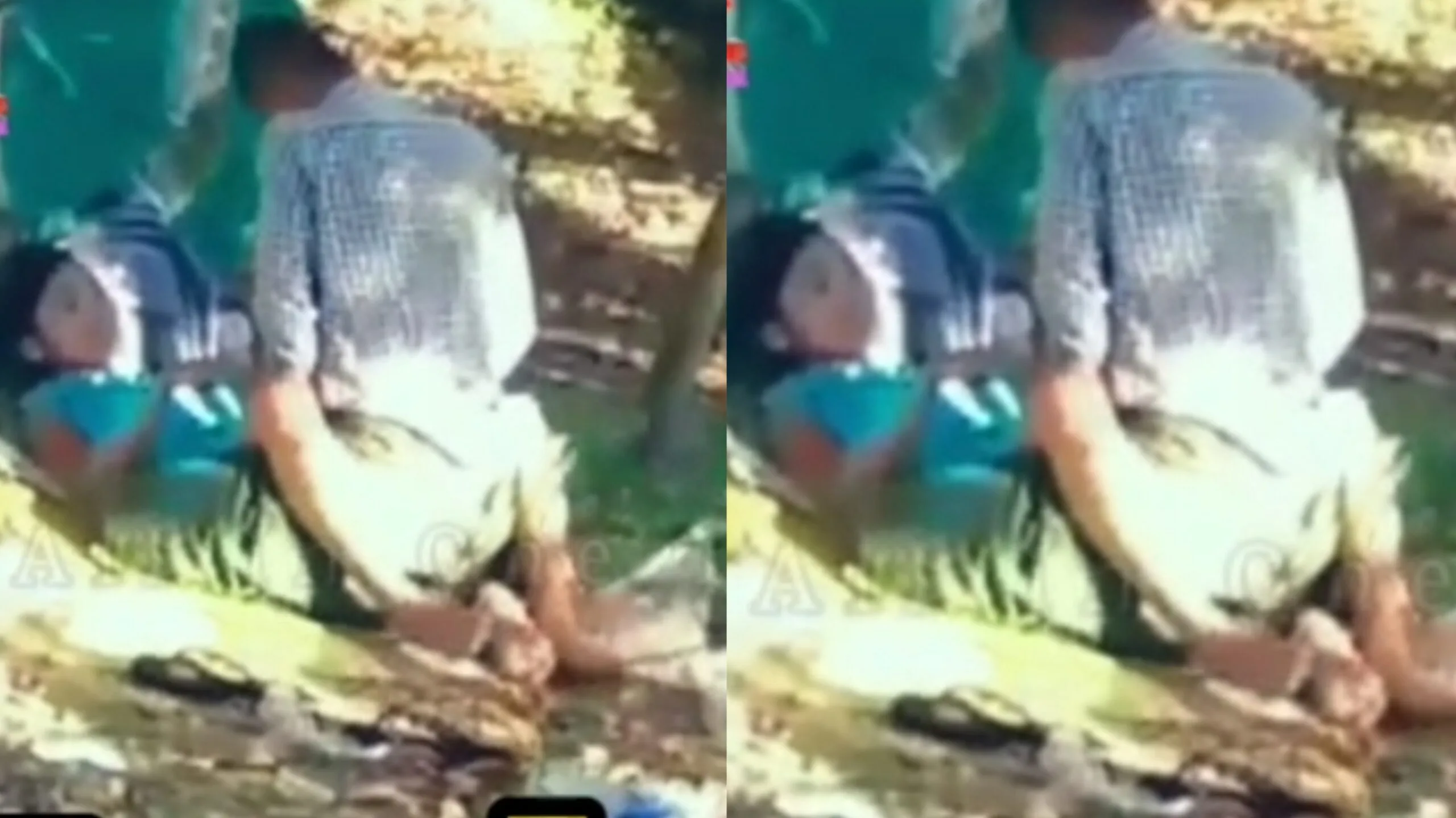 အပင်အောက်တို့က အချစ်