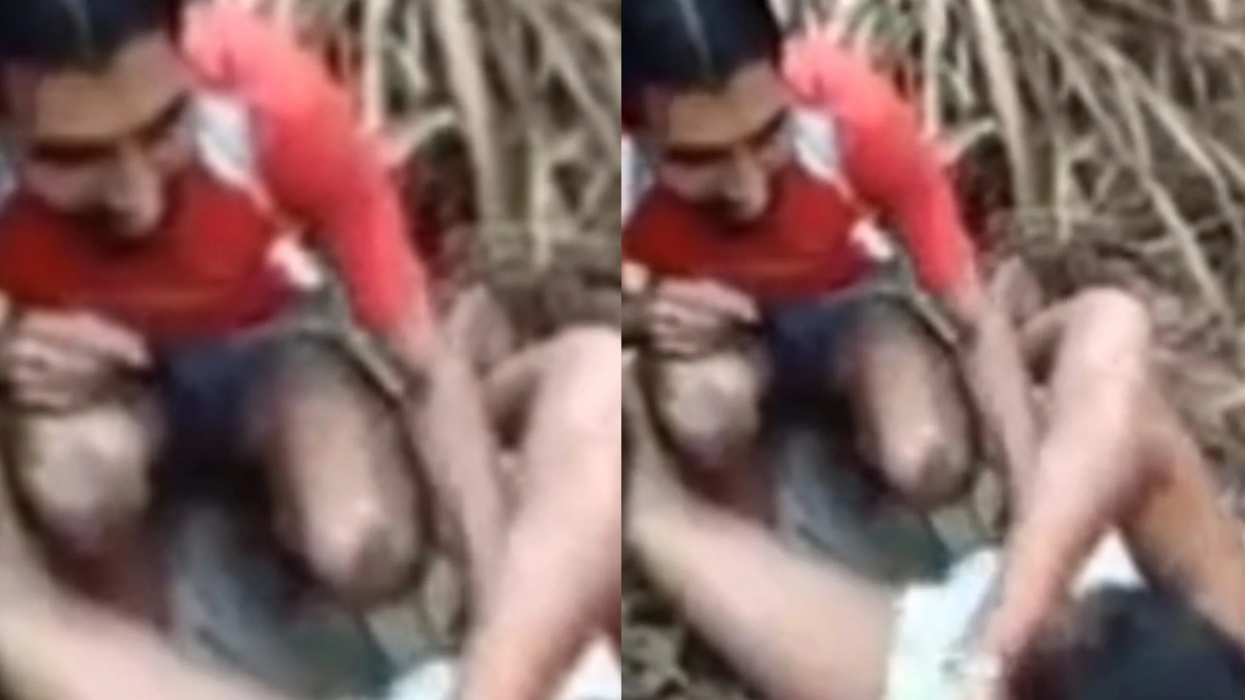 မာမူကုလား ခြုံတိုး ချောင်းရိုက်