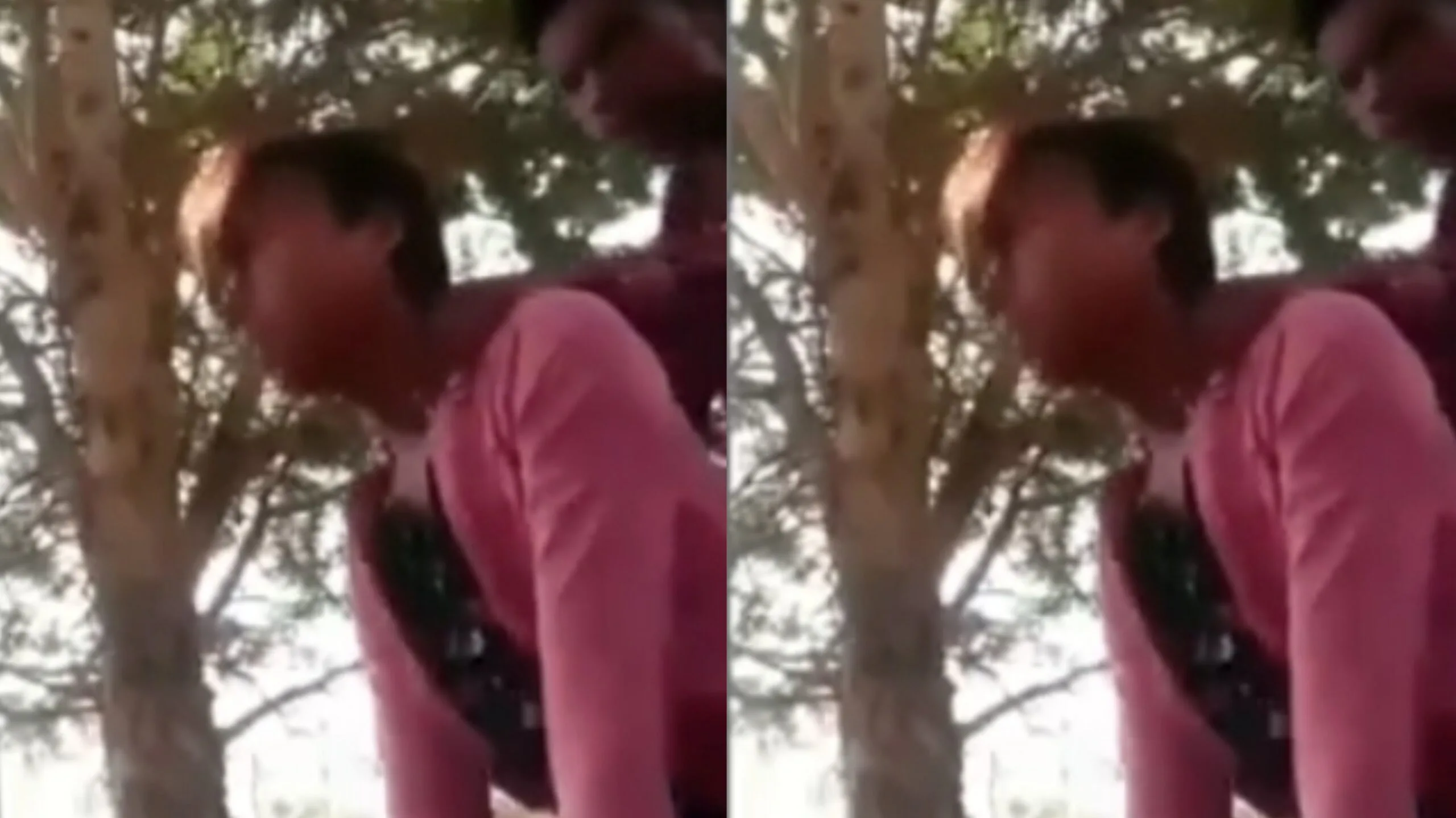 ဟုမ်းမိက်ခြုံတိုး အမြင်အဆန်းနဲ့