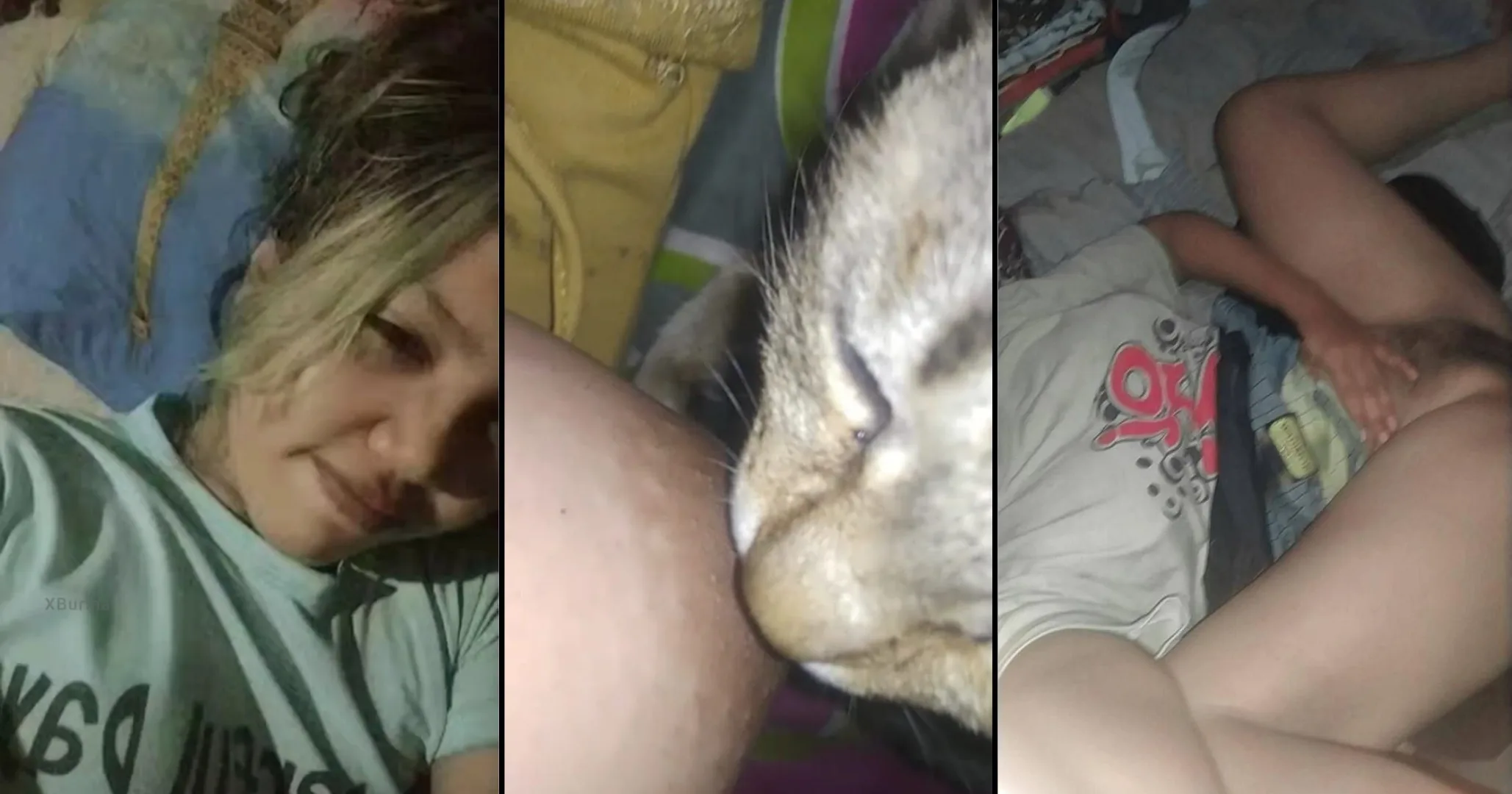 ပူစီကိုကြွေးတဲ့ဆော်