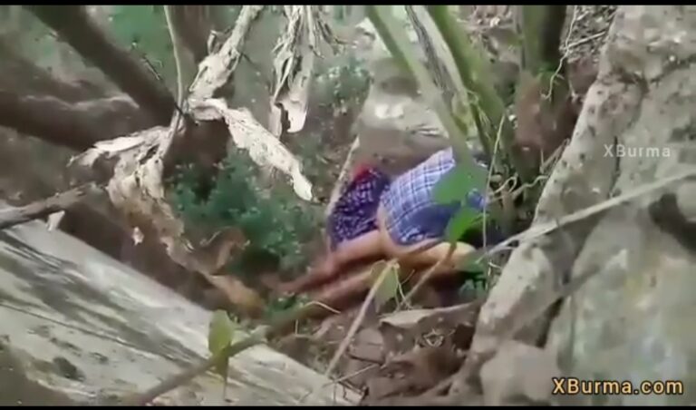 တောတောင်ထဲ ဆေးပင်ရှာရင်း ဘုတဲ့ စုံတွဲ